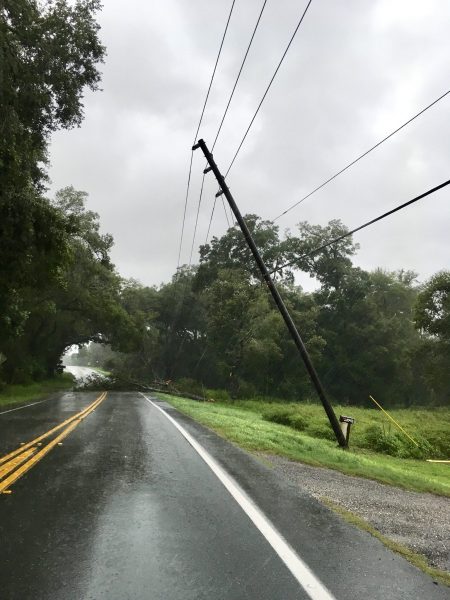 Power lines downed by Hurricane Irma in Sorrento, FL