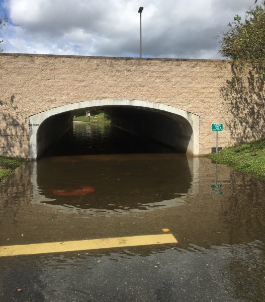 Golf Cart tunnel B22 still flooded