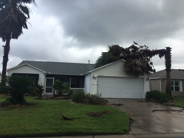 Palm tree on top of home in Village of Duval