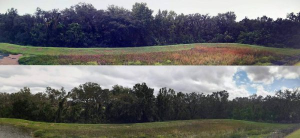 Retention pond before and after flood waters from Hurricane Irma