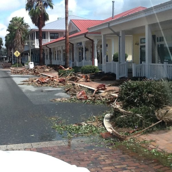 Trees and debris along the streets of Lake Sumter Landing