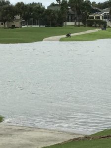 Th golf car bridge on the 8th Hole of Bogart Executive Golf Course remained completely underwater.