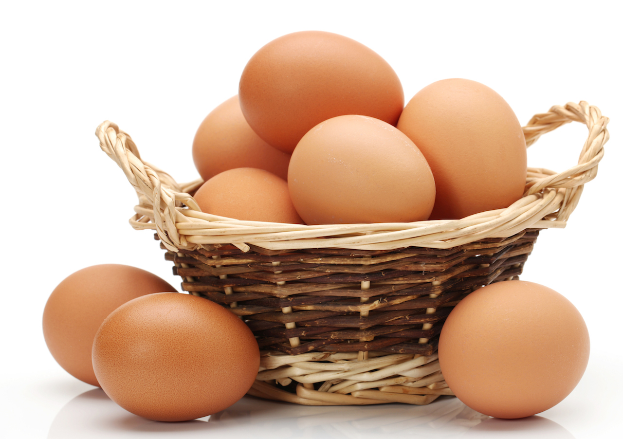 Яйцо домашнее на белом фоне