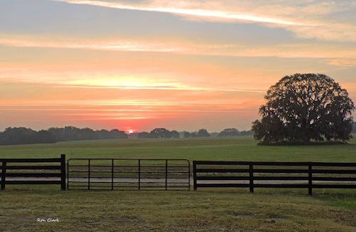 Sunrise near the Polo Fields in The Villages - Villages-News.com