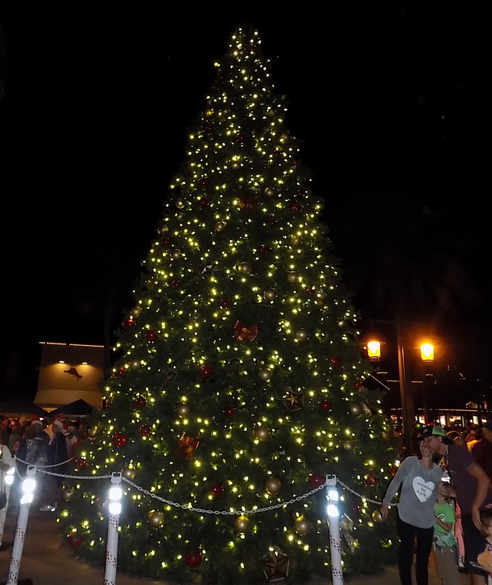 Fight VIP charge for Christmas tree lightings - Villages-News.com