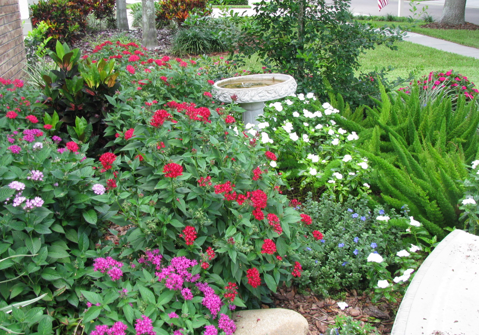 Addressing A Myth About Florida Friendly Landscaping Villages News Com