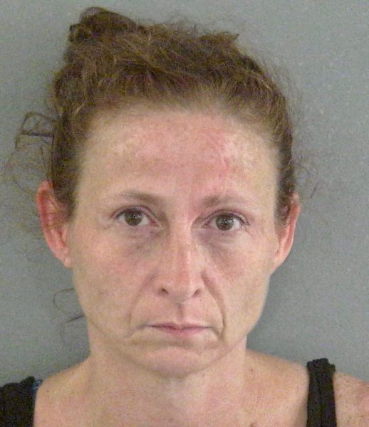 Water Oak Woman Arrested With Drugs And Lipstick Stun Gun Villages