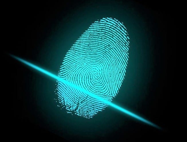 Lake County Sheriff’s Office resuming public fingerprinting services ...