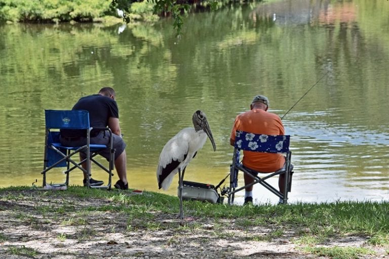 hooked-guide-services-first-day-of-pre-fishing-on-spanish-river