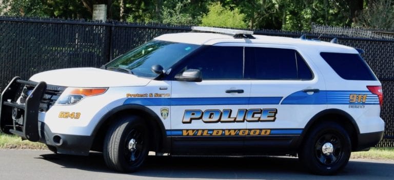 Wildwood police seeking help in finding stolen single-axle trailer