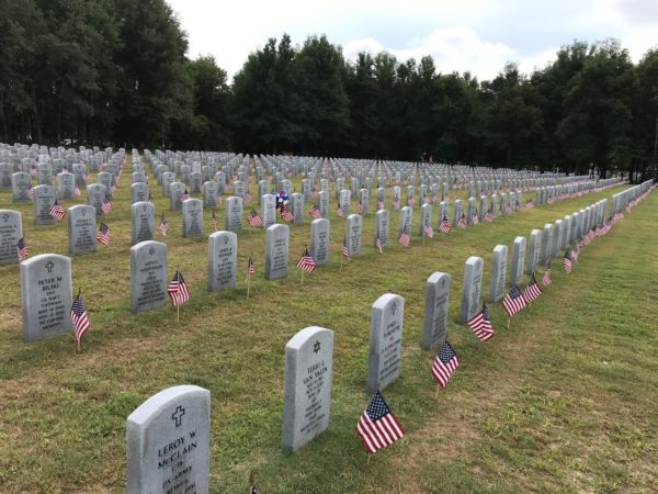 Veterans day free meals hampton roads