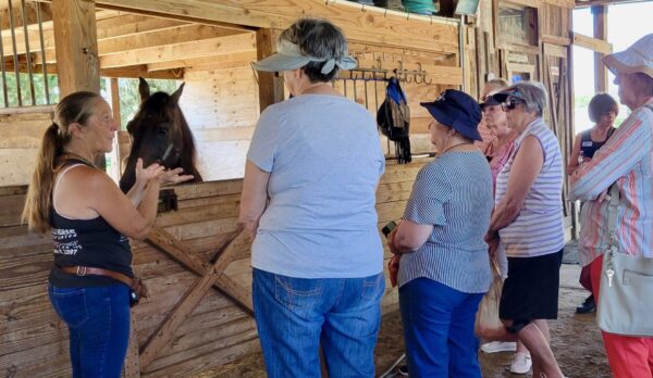 Diane Delano manager of the Rescue Center explains the history of one of the horses residing there.