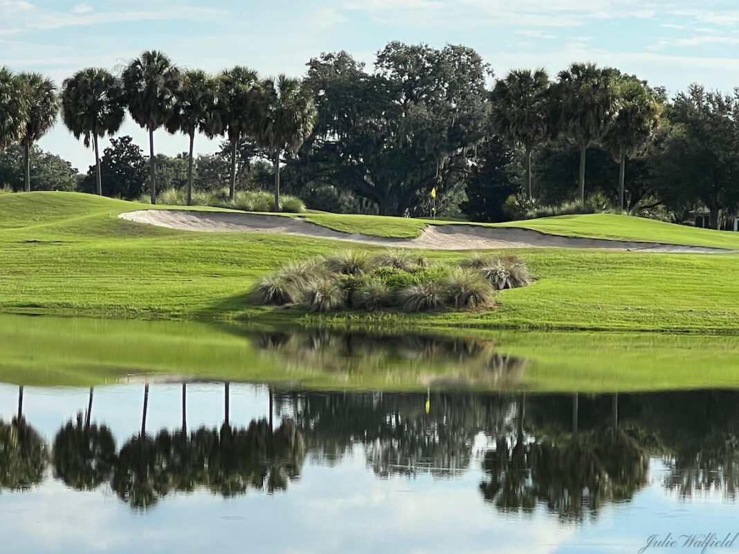 Beautiful View Of Pimlico Executive Golf Course In The Villages 