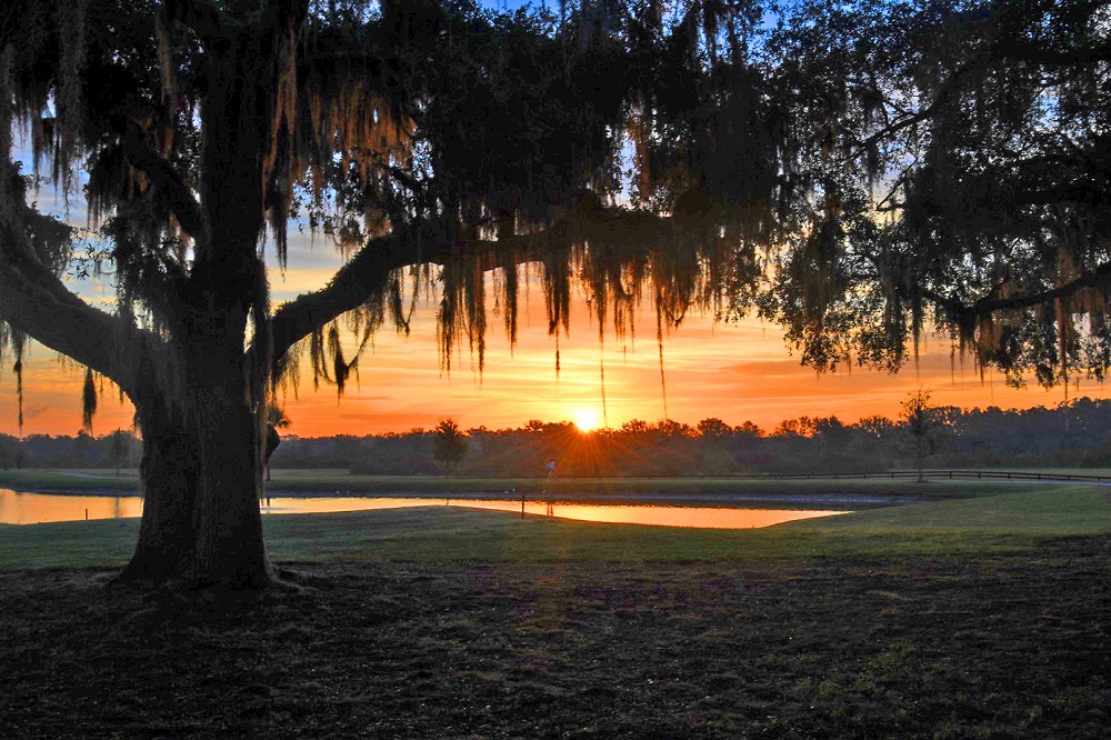 Stunning Sunrise At Hogeye Pathway In The Villages