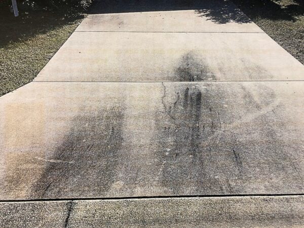 Mold is growing on the driveway at 3288 Shelby St.