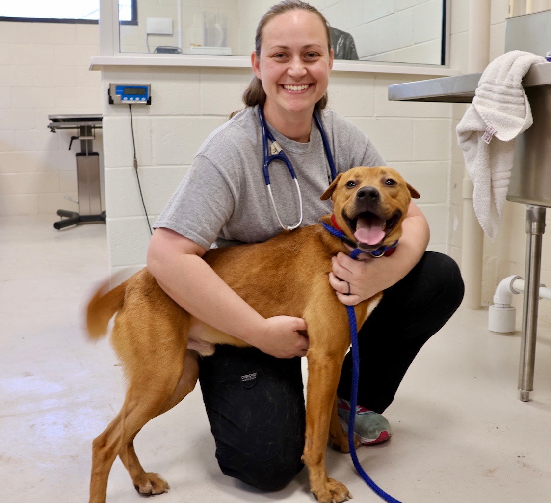 Dog in need of adoption remains at shelter after more than a year ...