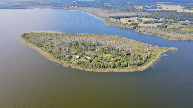 Bird Island in Lake Griffin (Photo: Tranzon Driggers)