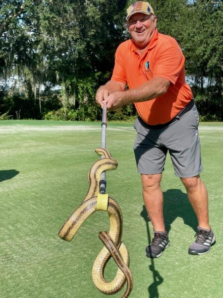 Steve Miller picked up the rat snake found at the Heron Executive Golf Course