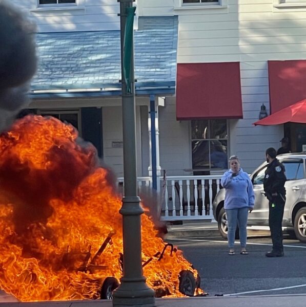 Flames were coming from the golf cart at Lake Sumter Landing