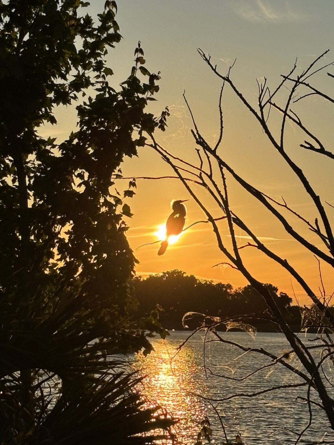 Beautiful sunset at Lake Sumter - Villages-News.com