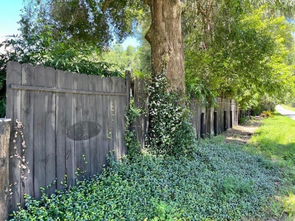 The Blackmores have argued that their fence is necessary to protect them from the hudge Hammock Oaks development