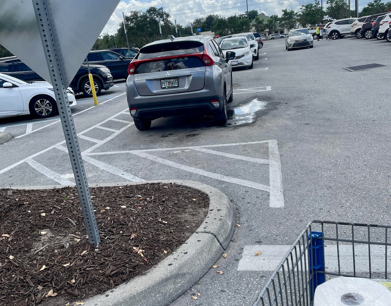 Bad parking at Walmart on site