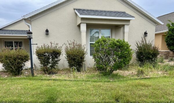 Weeds have become a problem in this house in the village of Antrim Dells