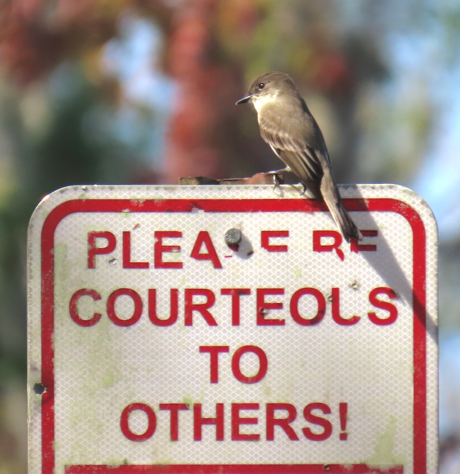 Bird has a helpful reminder for residents in The Villages