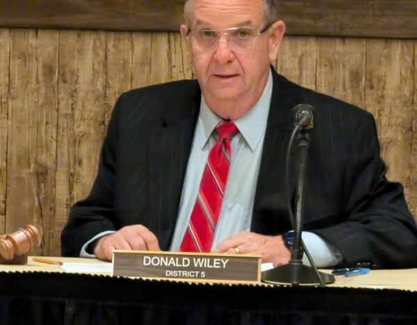 Don Wiley will serve as chairman of the Sumter County Commission