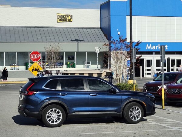 A non conforming motorist ended up in a golf cart parking spot at Walmart in Summerfield.