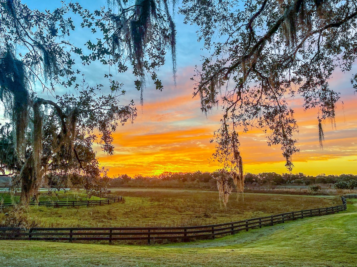 Sun coming up along the start of Hogeye Pathway in The Villages