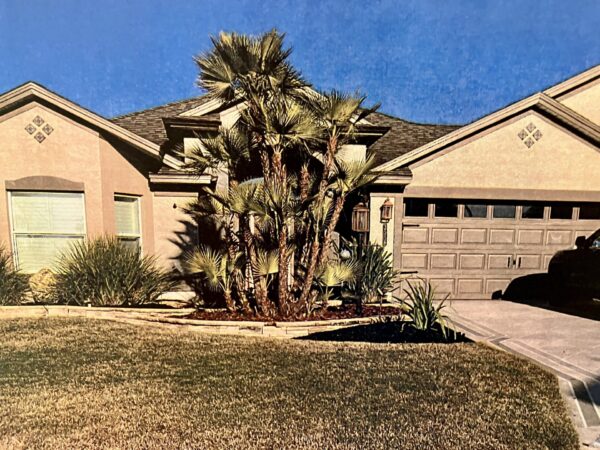 This landscaping was put in without ARC approval at 3558 Cosmos Way in the Village of Hillsborough