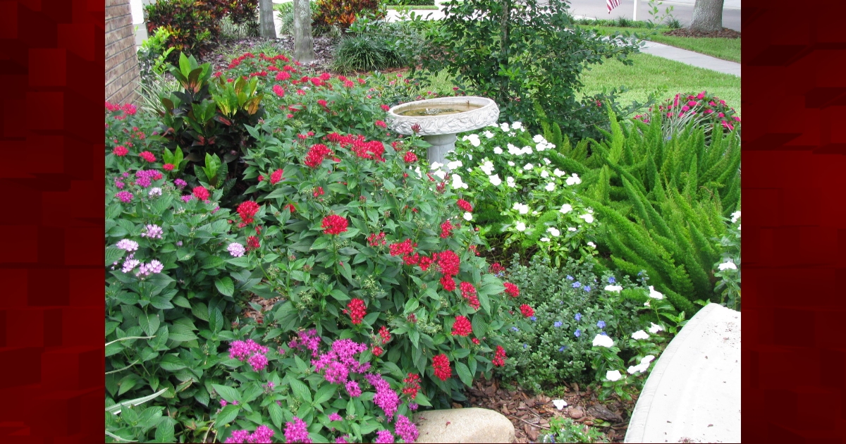 Addressing A Myth About Florida Friendly Landscaping Villages News Com