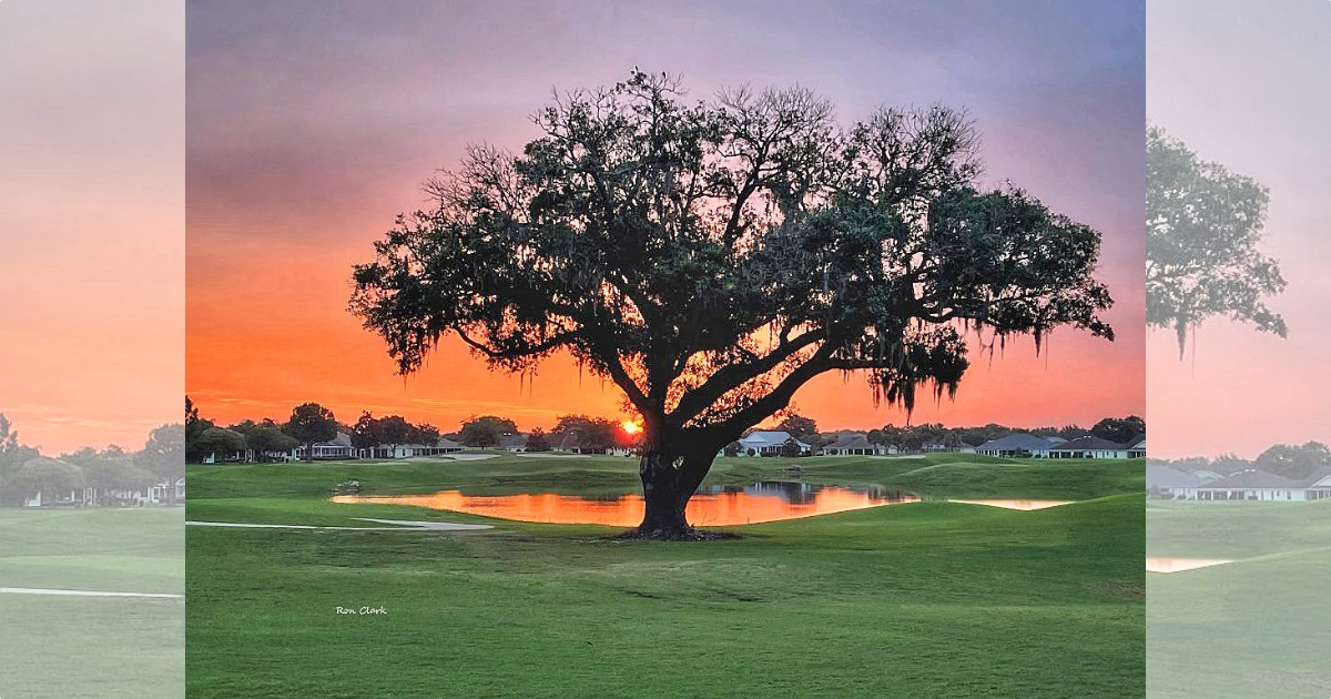 Sunrise Over Pimlico Executive Golf Course