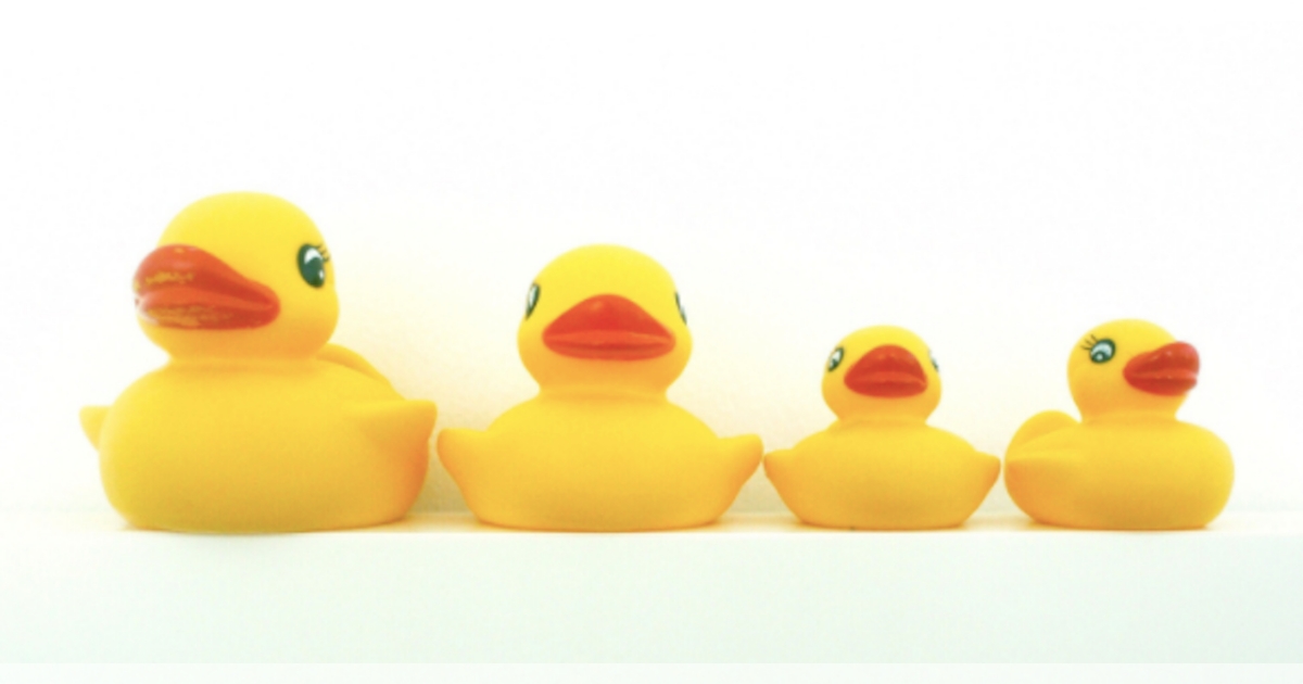 The Fate Of The Rubber Ducky Family - Villages-news.com