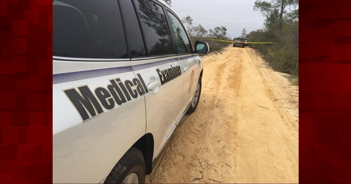 Woman, toddler found dead in Ocala National Forest in apparent murder ...