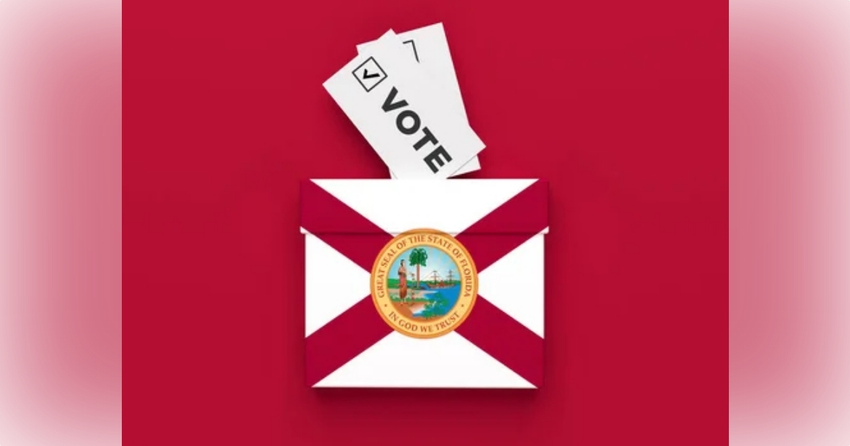 Learn about six amendments to Florida Constitution on November ballot